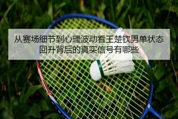从赛场细节到心理波动看王楚钦男单状态回升背后的真实信号有哪些